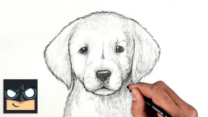 Beagle Puppy Drawing