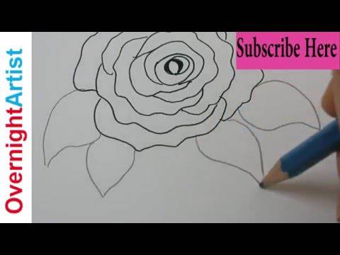 Beautiful Rose Drawing Picture