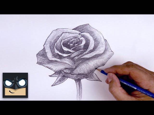 Beauty And The Beast Flower Drawing