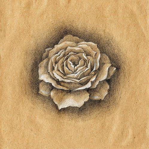 Beauty And The Beast Rose Easy Drawing