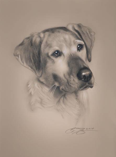 Black And White Dog Drawing Easy