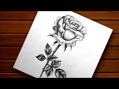 Black And White Drawing Rose