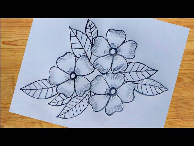 Black And White Flower Drawing