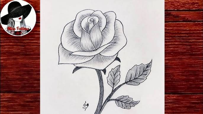 Black And White Skull And Rose Drawing