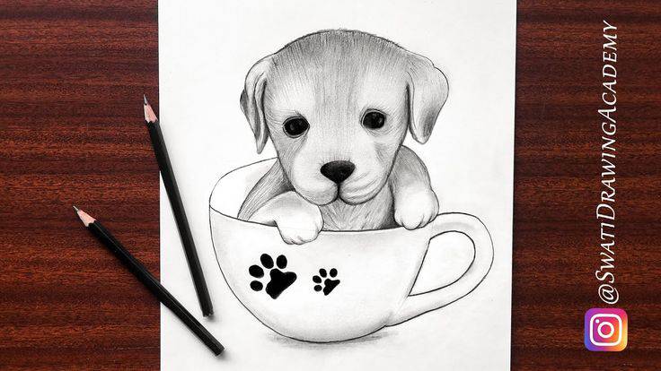 Black Labrador Sketch