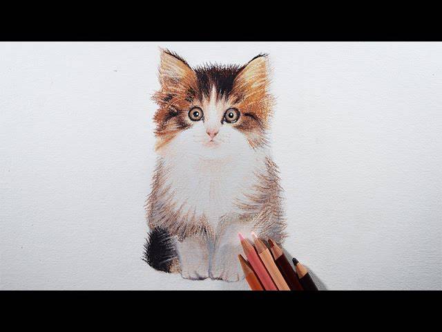 Cartoon Cat Drawing