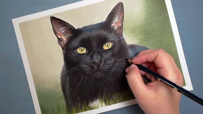 Cat Drawing Art