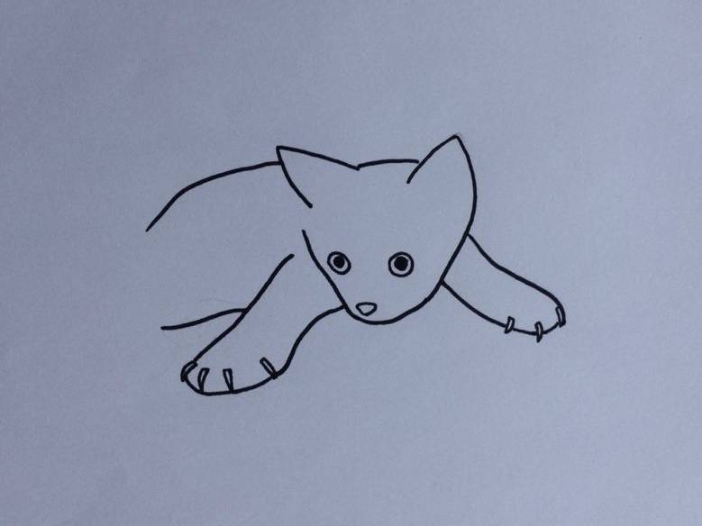 Cat Line Drawing