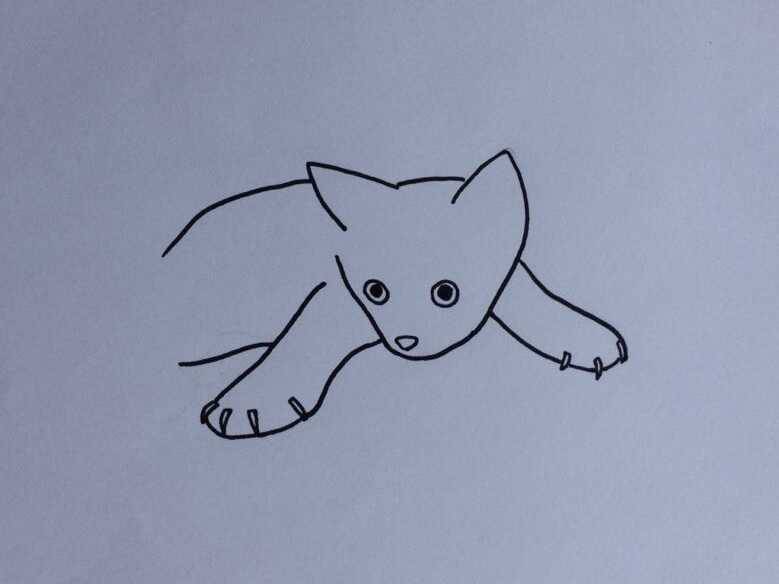 Cat Sketch Pencil