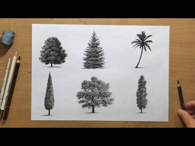 Charcoal Drawing Tree