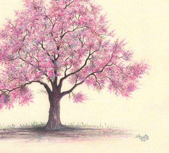 Cherry Blossom Drawing Simple