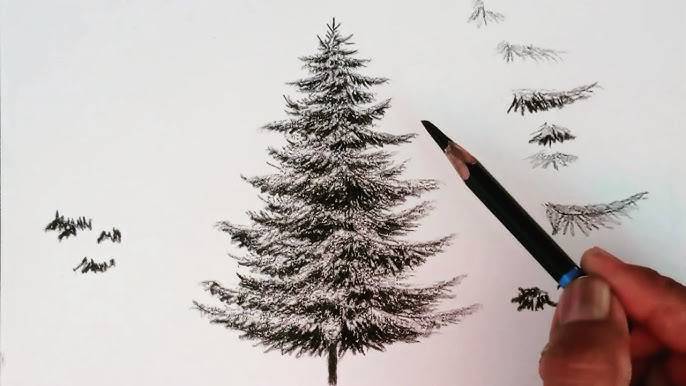 Christmas Tree Drawing Best