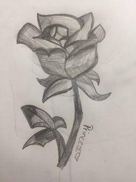 Closed Rose Bud Drawing