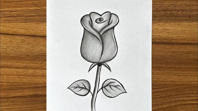 Color Rose Drawing