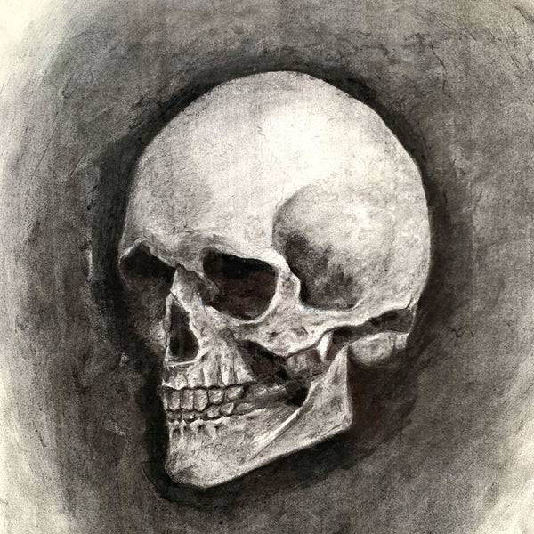 Colored Pencil Skull Drawing