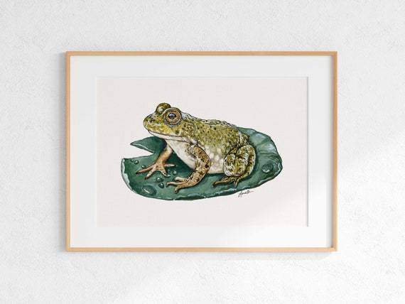 Cool Drawings Of Frogs