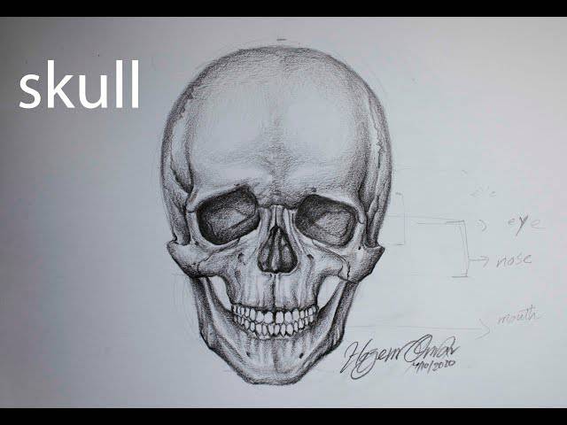 Creative Skull Drawing