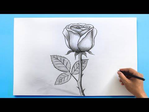 Cross Drawings With Roses