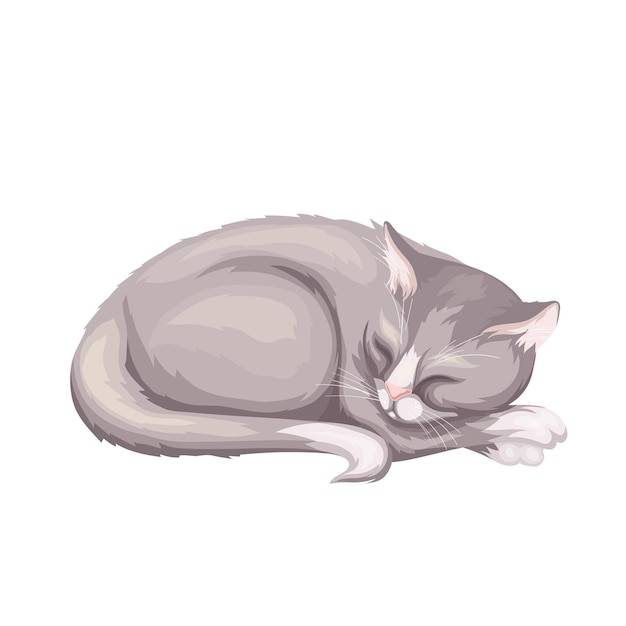 Cute Cartoon Cat Drawing