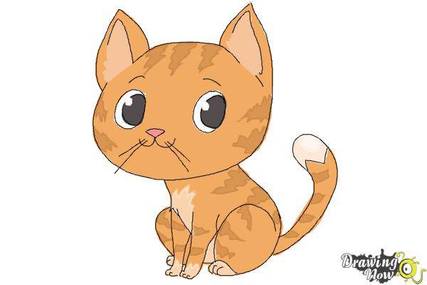 Cute Cats Drawings Easy