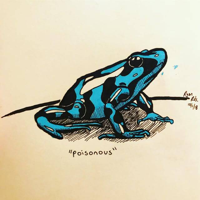 Cute Pictures Of Frogs Drawings