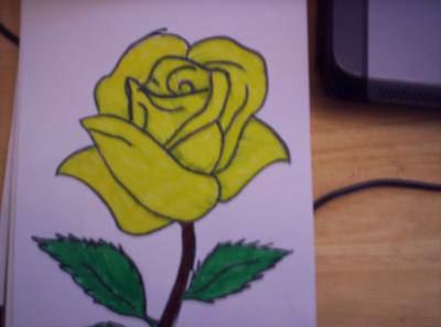 Cute Rose Drawing