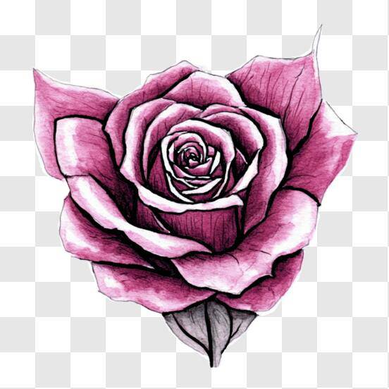 Cute Small Rose Drawing