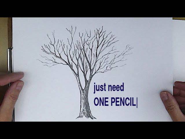 Cute Tree Drawing