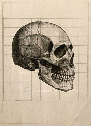 Day Of The Dead Skull Easy To Draw