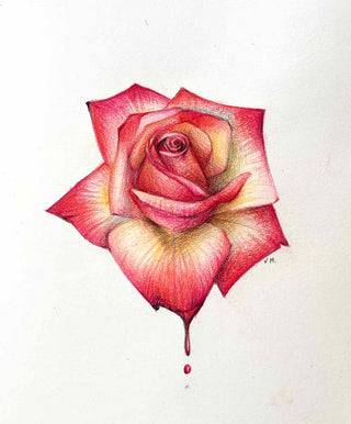 Delicate Rose Drawing