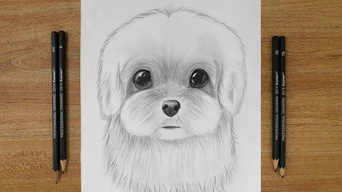 Dog Drawing Portraits