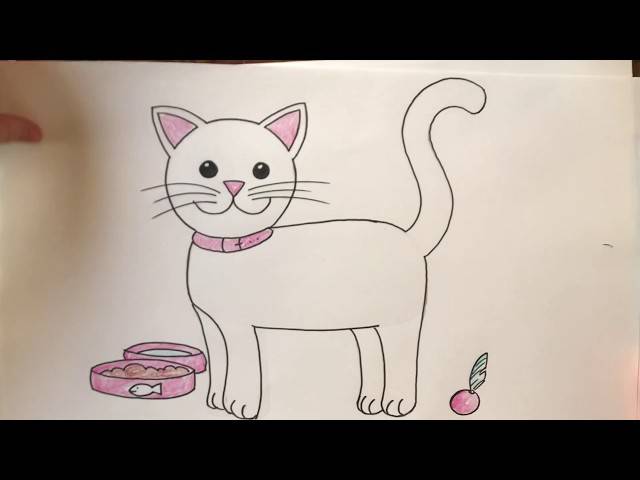 Draw A Cat Cartoon