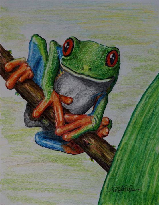 Draw A Cute Frog