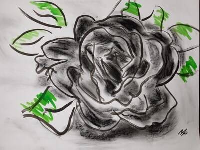 Draw A Flower Rose