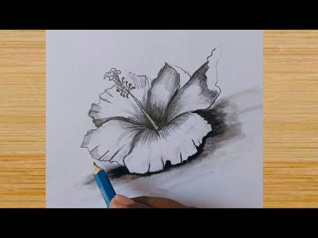 Draw A Hawaiian Flower