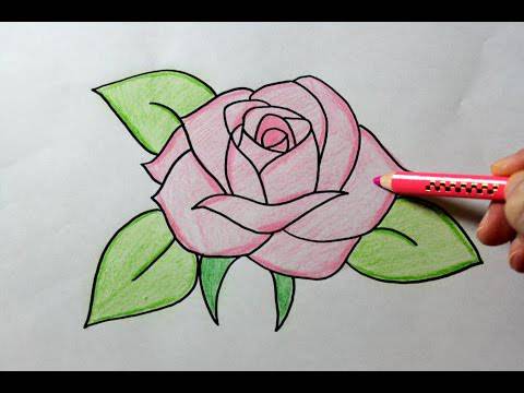 Draw A Quick Rose