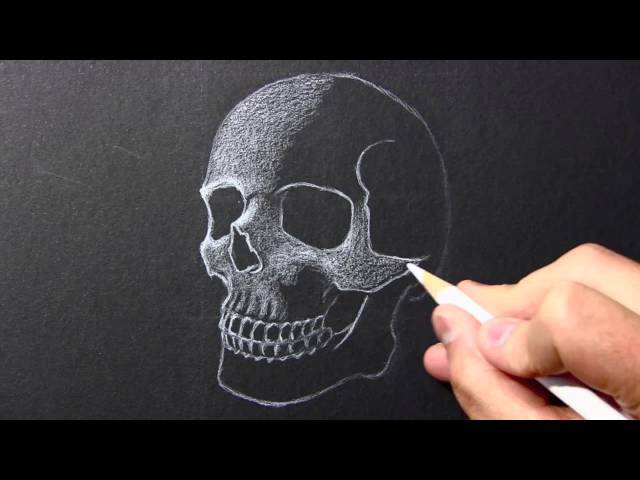 Draw A Skull Step By Step