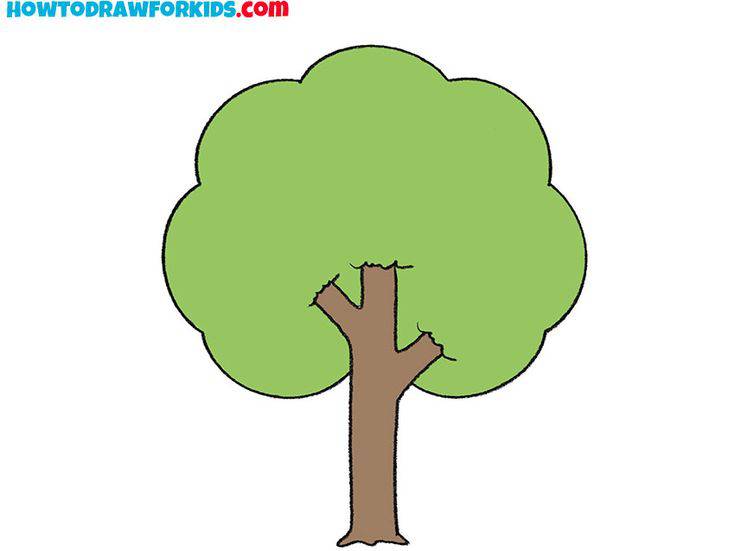 Draw A Tree Step By Step