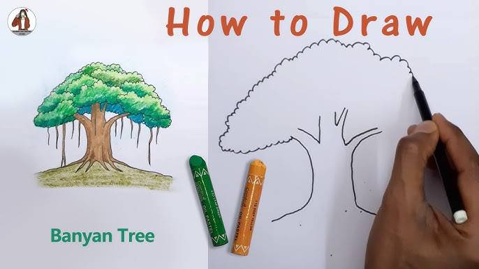 Draw A Willow Tree