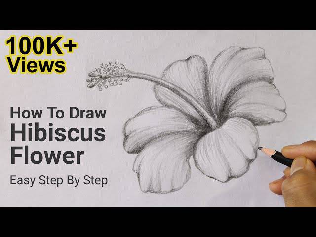 Draw The Hibiscus Flower