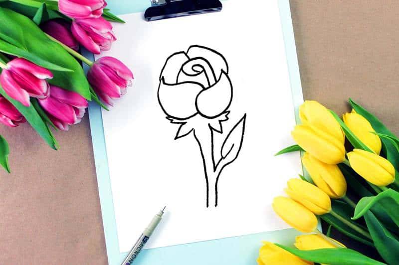 Drawing A Rose With Pencil