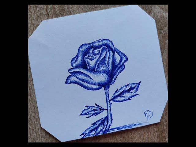 Drawing Heart Rose