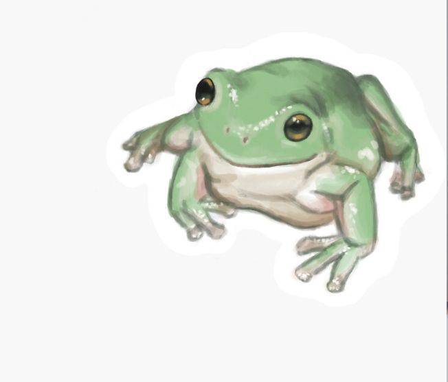 Drawing Of Frog Simple