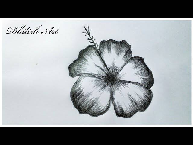 Easy Draw Hibiscus