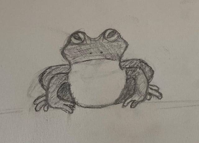 Easy Drawing Frog Step By Step