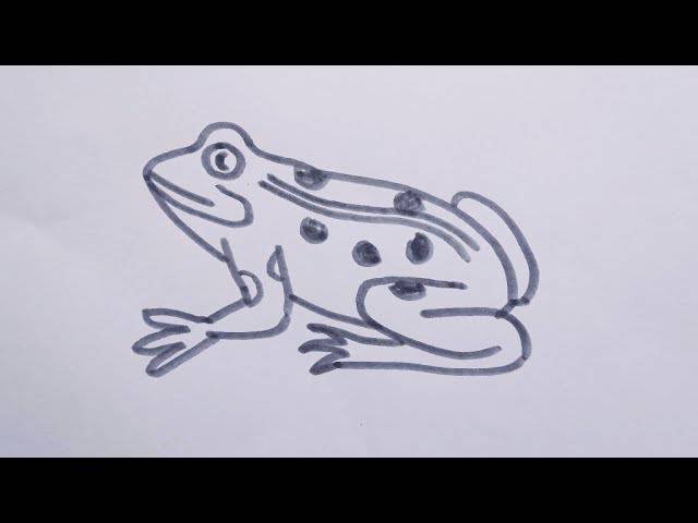 Easy Frog Drawing Cute