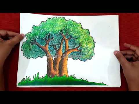 Easy Simple Christmas Tree Drawing