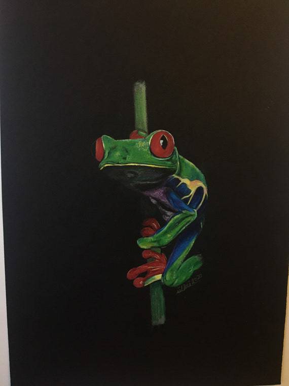 Easy Simple Frog Drawing