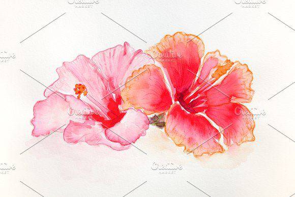 Easy Way To Draw A Hibiscus Flower