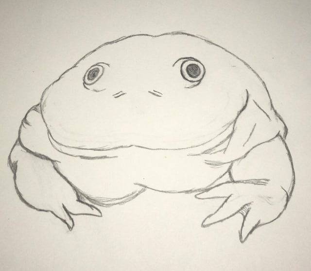 Frog Cartoon Easy To Draw